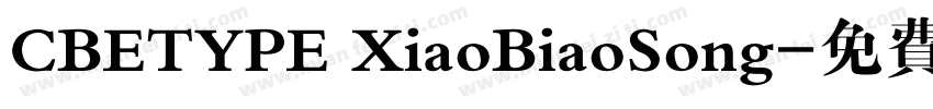 CBETYPE XiaoBiaoSong字体转换